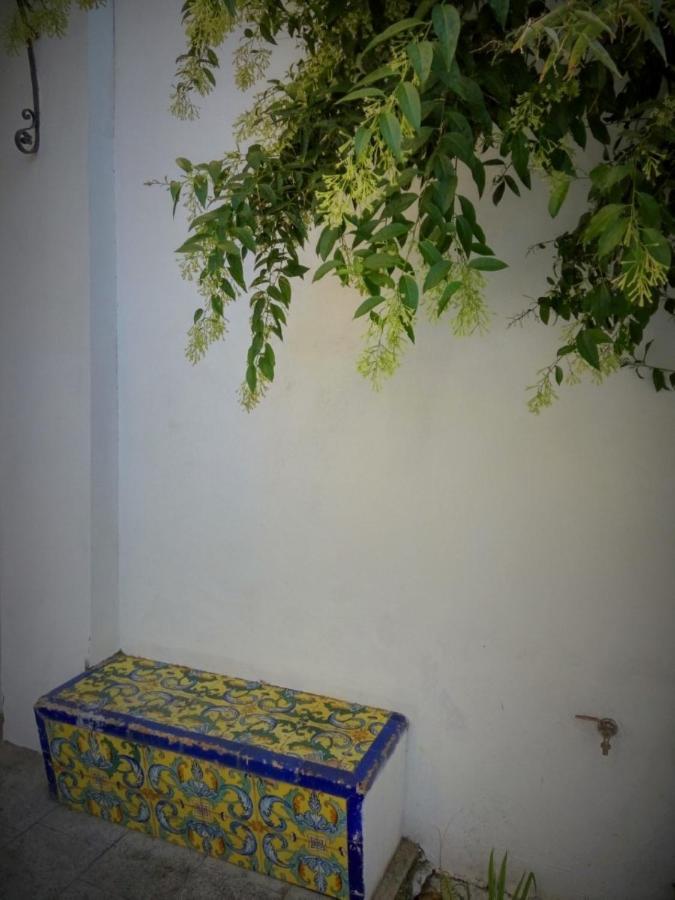 Apartment Alacas Sevilla Zewnętrze zdjęcie