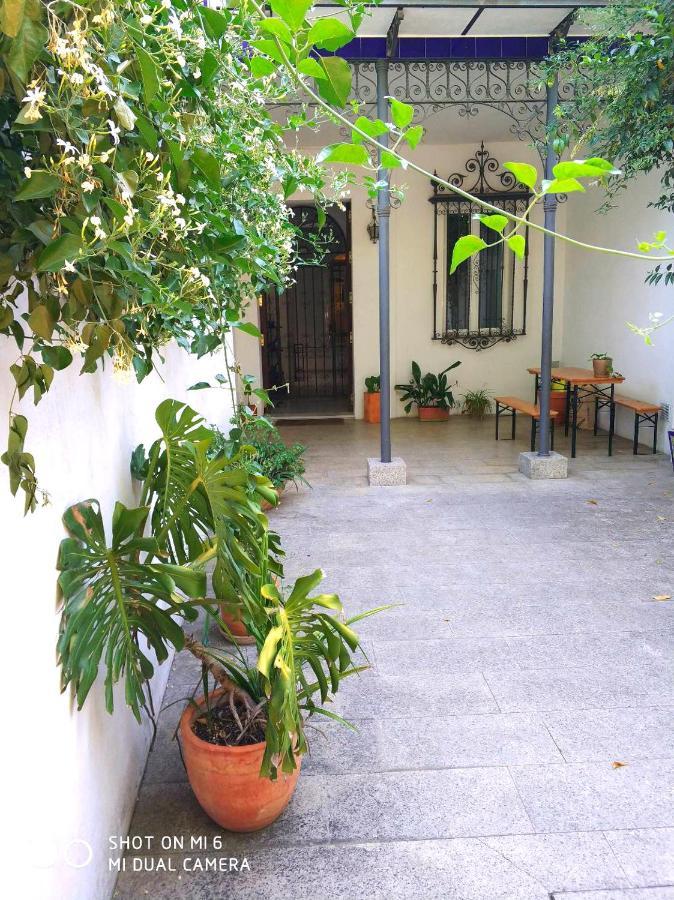 Apartment Alacas Sevilla Zewnętrze zdjęcie