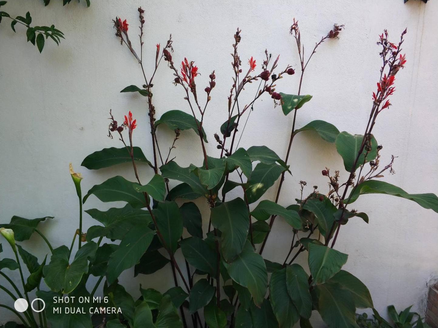 Apartment Alacas Sevilla Zewnętrze zdjęcie